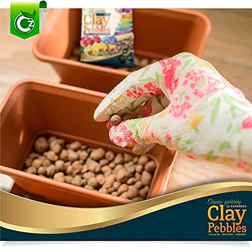 Clay Pebbles for Orchids Planter Filler